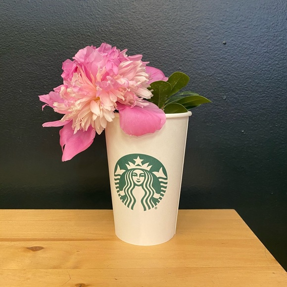 Meet your Posher, Dani - Picture 1 of 1